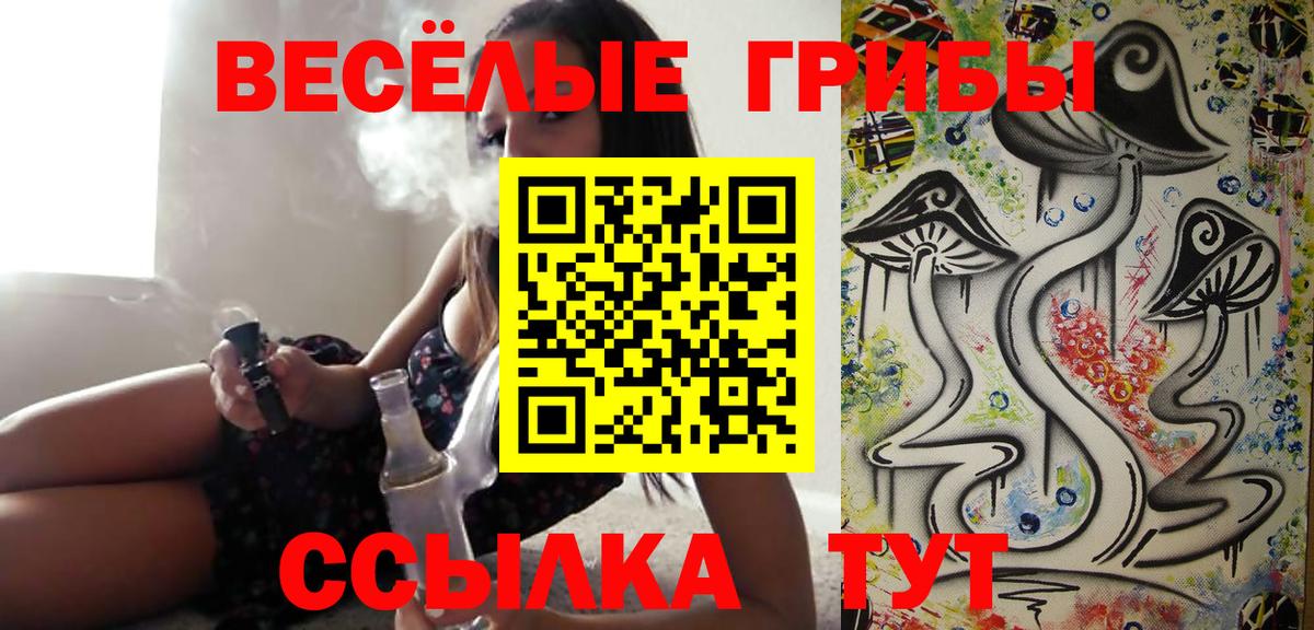 Галлюциногенные грибы прущие грибы Кольчугино